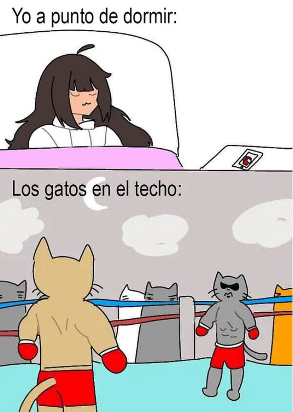 Meme_otros - La pelea va a comenzar