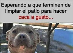 Enlace a Me están preparando el patio