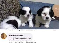 Enlace a ¡Señora, contrólese!