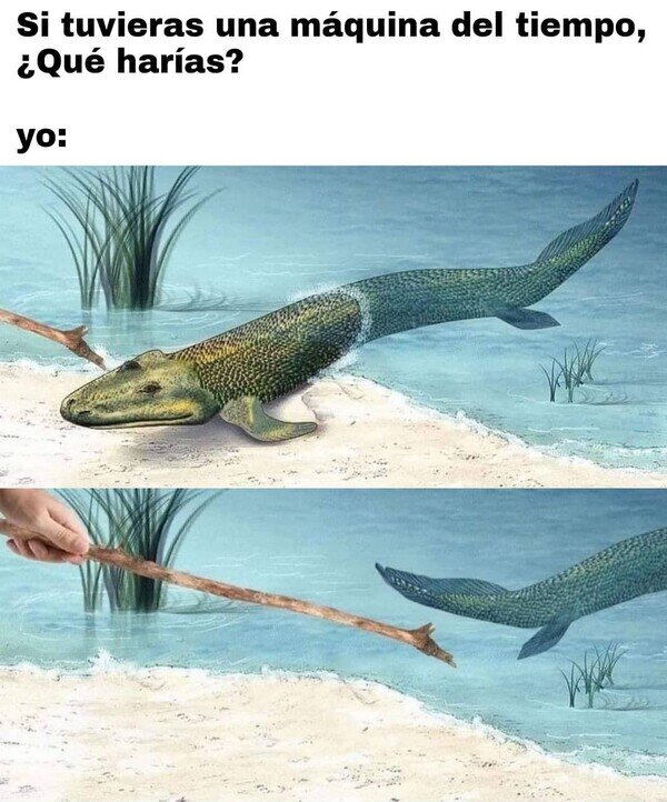 Meme_otros - Adiós, vida terrestre