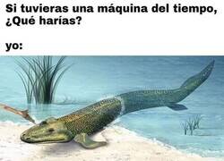 Enlace a Adiós, vida terrestre