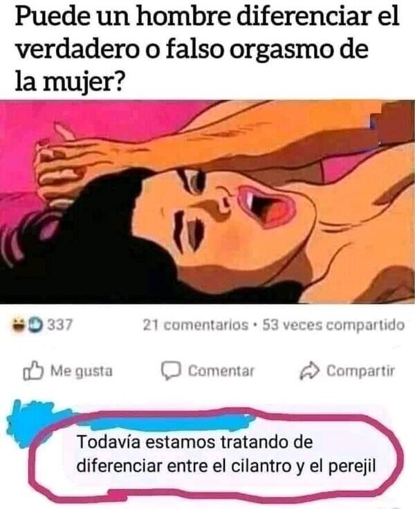 Meme_otros - Poco a poco