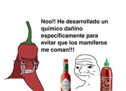 Enlace a Fans del picante