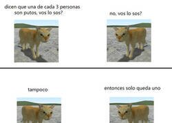 Enlace a Gatos maleducados