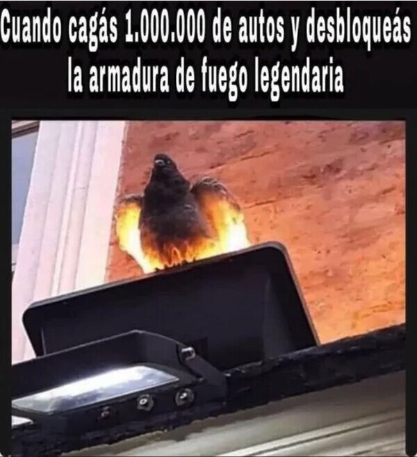 Meme_otros - La paloma que se pasó el juego