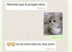 Enlace a La cosa se pone seria