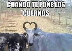 Enlace a Infidelidad romántica