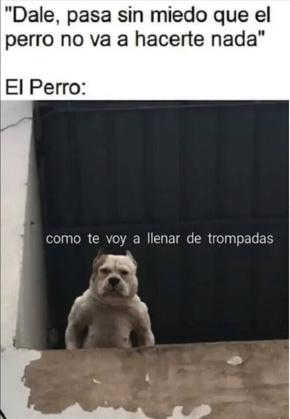 Meme_otros - Me da miedo