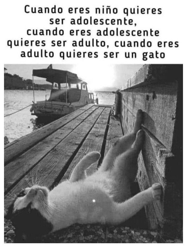 Otros - Nunca eres lo que quieres ser