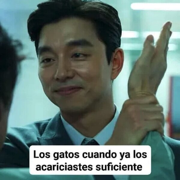 Meme_otros - Ya no quiero saber más de ti