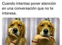 Enlace a Lo intento pero me cuesta