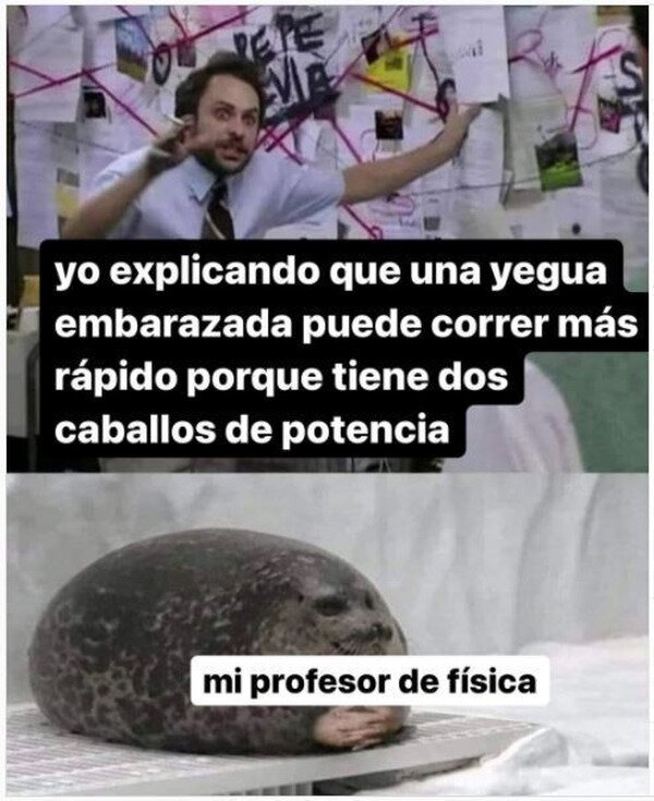 potencia,yegua,embarazada,caballos,física,profesor