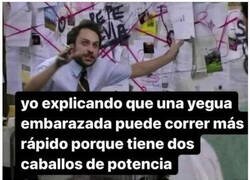 Enlace a Debate físico