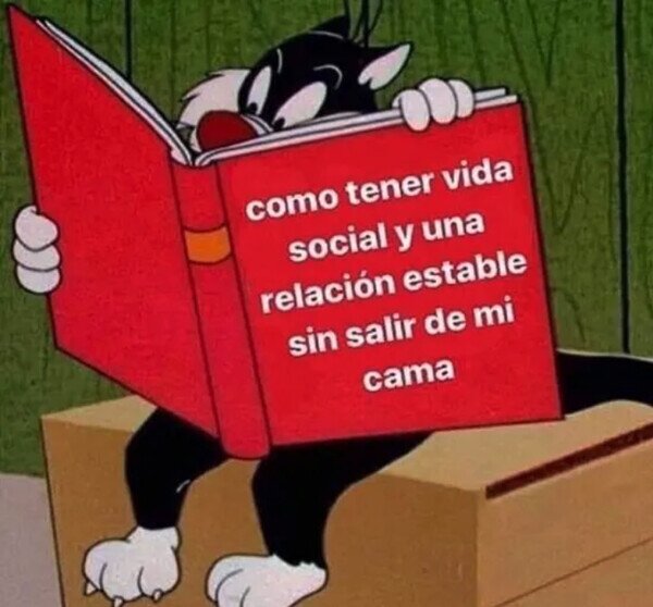 Meme_otros - Lo que busco en esta vida