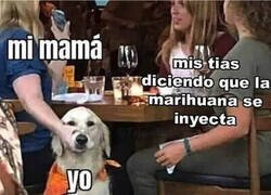 Enlace a Yo durante las próximas comidas navideñas