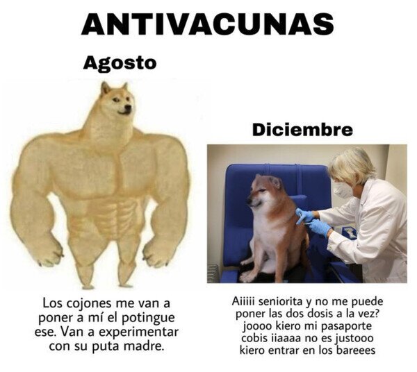Otros - Para poder salir a tomar algo