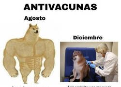 Enlace a Para poder salir a tomar algo