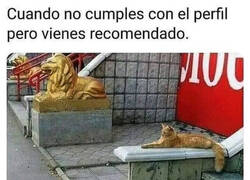 Enlace a Conseguí el trabajo