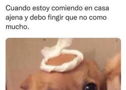 Enlace a Con más hambre que el perro de un ciego