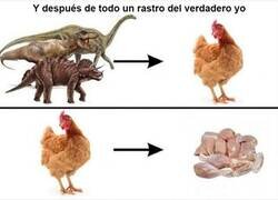 Enlace a Se cerró el círculo