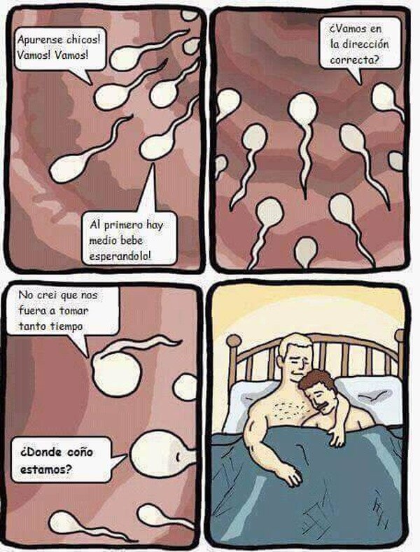 Meme_otros - Camino equivocado