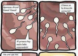 Enlace a Camino equivocado