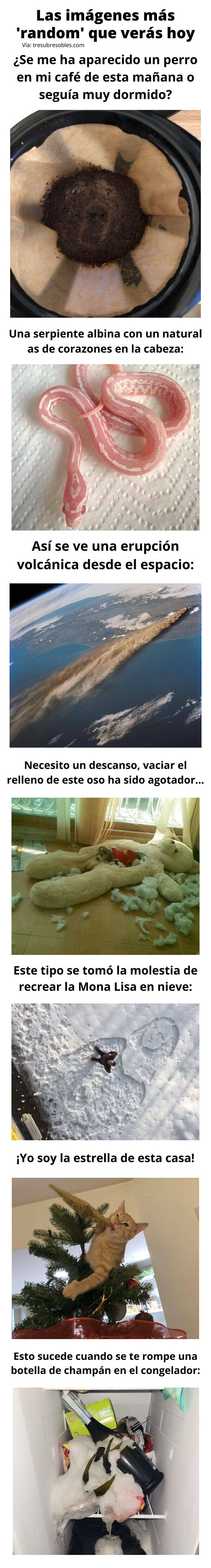 Meme_otros - Las imágenes más 'random' que verás hoy
