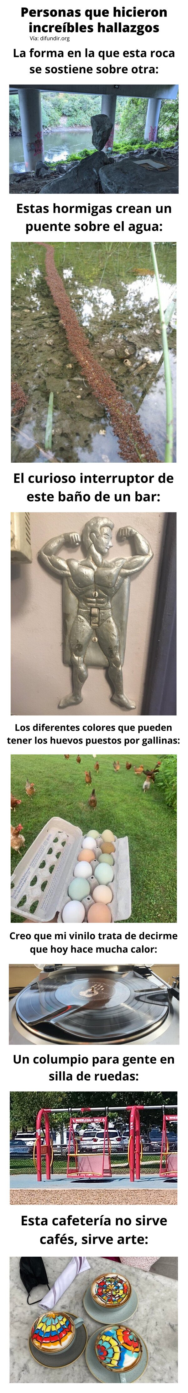 Meme_otros - Personas que hicieron increíbles hallazgos