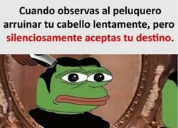 Enlace a Ahora debo ser un pelón