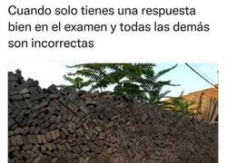 Enlace a No todo está mal