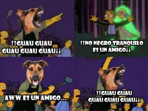 Meme_otros - Mi perro cuando traigo a alguien que no conoce