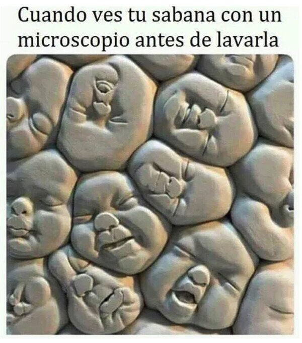 Meme_otros - Adiós, hijos míos