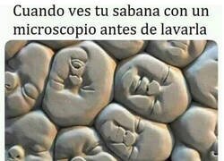 Enlace a Adiós, hijos míos