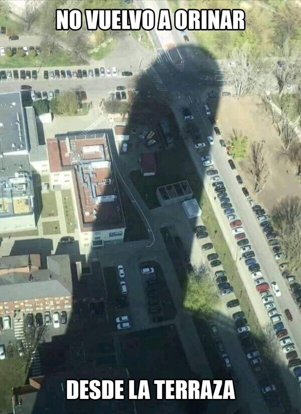 Otros - Perdón por la sombra