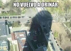 Enlace a Perdón por la sombra