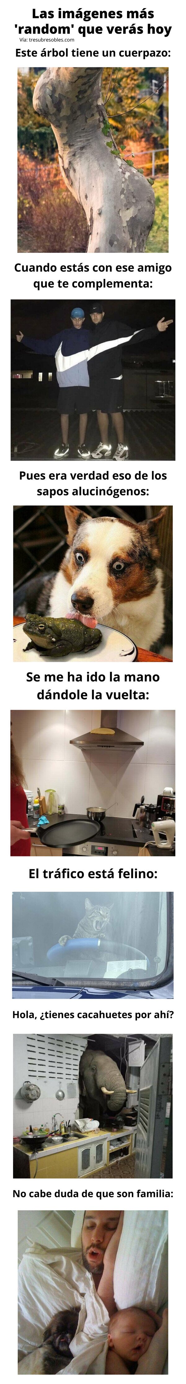 Meme_otros - Las imágenes más 'random' que verás hoy