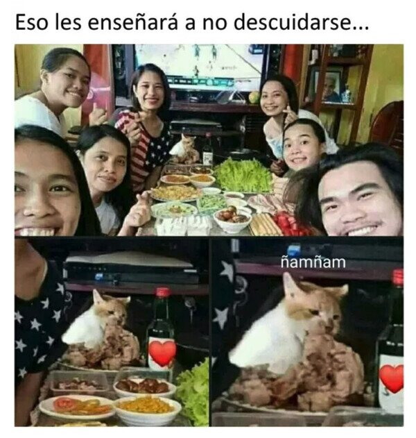 Meme_otros - No descuidéis al gato por Navidad
