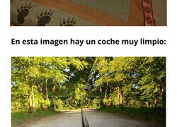 Enlace a Auténticos expertos del camuflaje