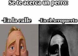 Enlace a No sé si es buena señal