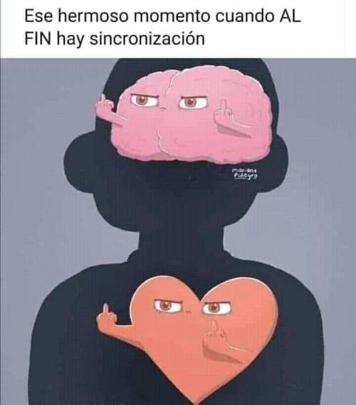 Meme_otros - Cuando tengo algo claro