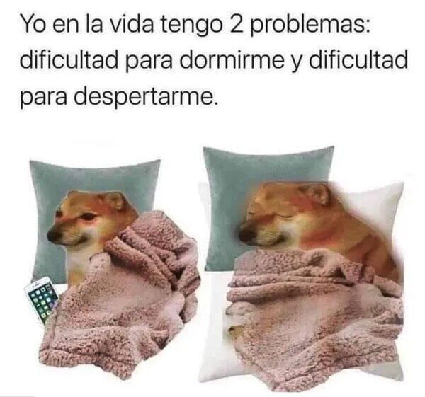 Meme_otros - Mis dos principales problemas