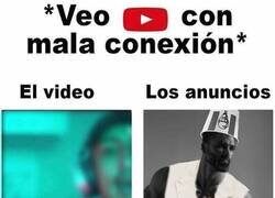 Enlace a No tienen vergüenza