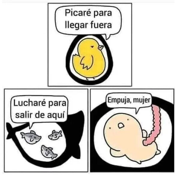 Meme_otros - El ser humano ya es cómodo desde antes de nacer
