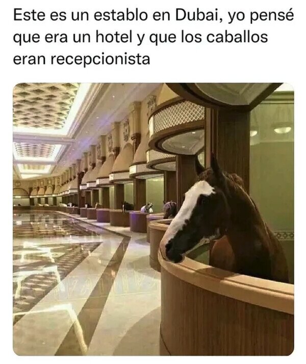 Meme_otros - Establos en Dubai