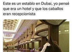 Enlace a Establos en Dubai