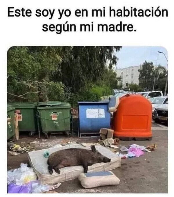 Meme_otros - Mi pocilga y yo