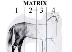 Enlace a Esto es así