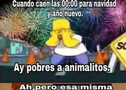Enlace a Falsos animalistas