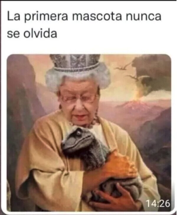 Meme_otros - La Reina Isabel bien lo sabe