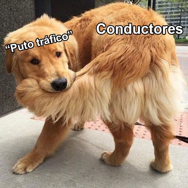 Meme_otros - Se quejan los que son parte del problema
